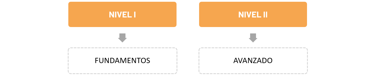 niveles del curso de infraworks semco autodesk