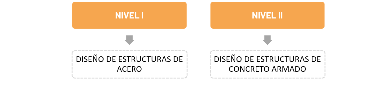 niveles del curso de robot structural semco autodesk-1