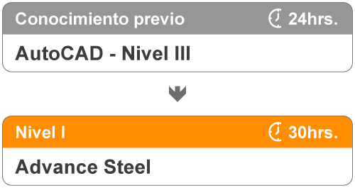 Niveles del curso de Advance Steel