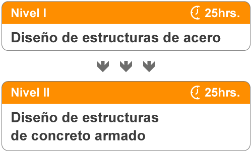 Niveles del curso de Robot Structural