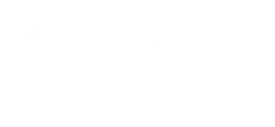 semco-partner-esss-ansys